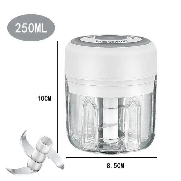 Electric Mini Garlic Chopper, 250ML Food Chopper Garlic Mincer USB, Hommart