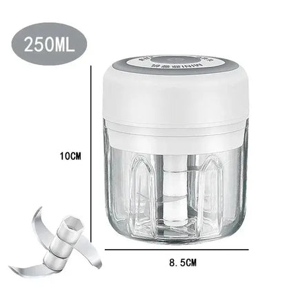 Electric Mini Garlic Chopper, 250ML Food Chopper Garlic Mincer USB, Hommart