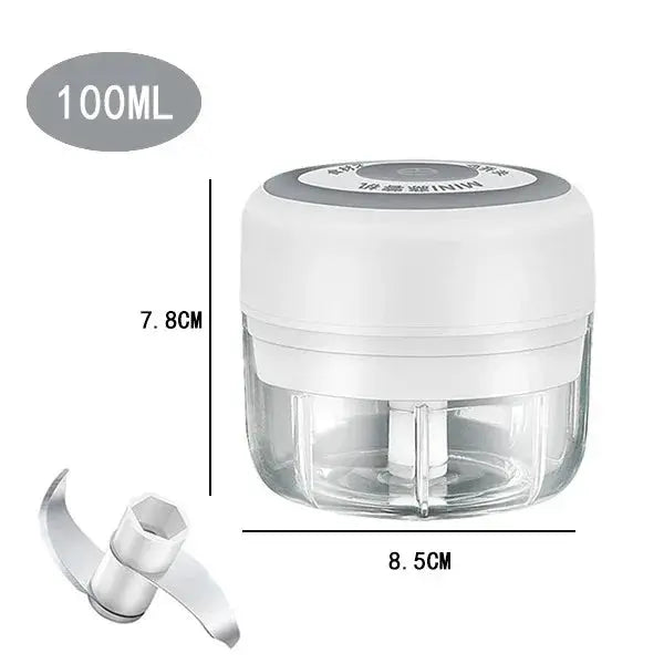 Electric Mini Garlic Chopper, 250ML Food Chopper Garlic Mincer USB, Hommart