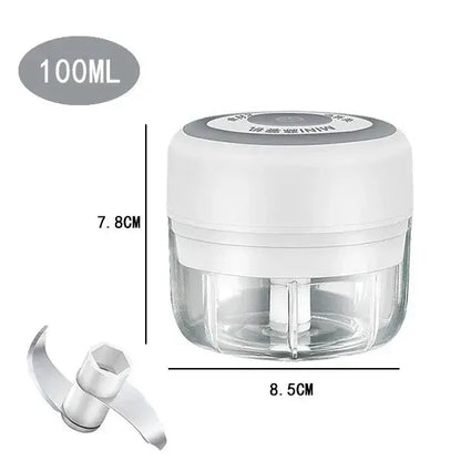 Electric Mini Garlic Chopper, 250ML Food Chopper Garlic Mincer USB, Hommart