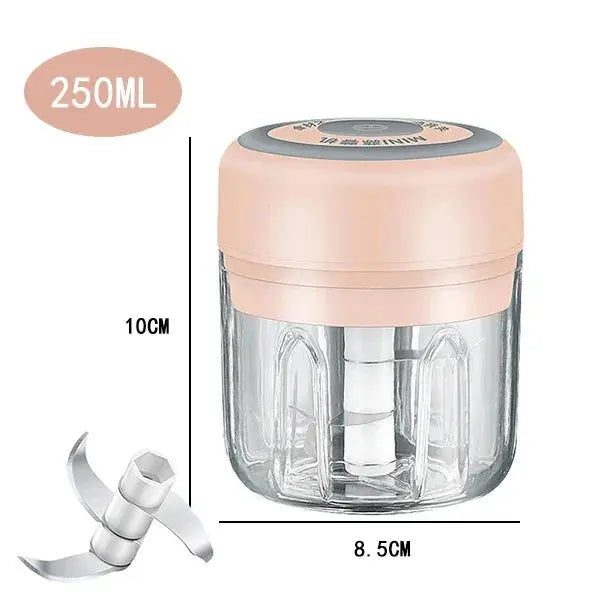 Electric Mini Garlic Chopper, 250ML Food Chopper Garlic Mincer USB, Hommart